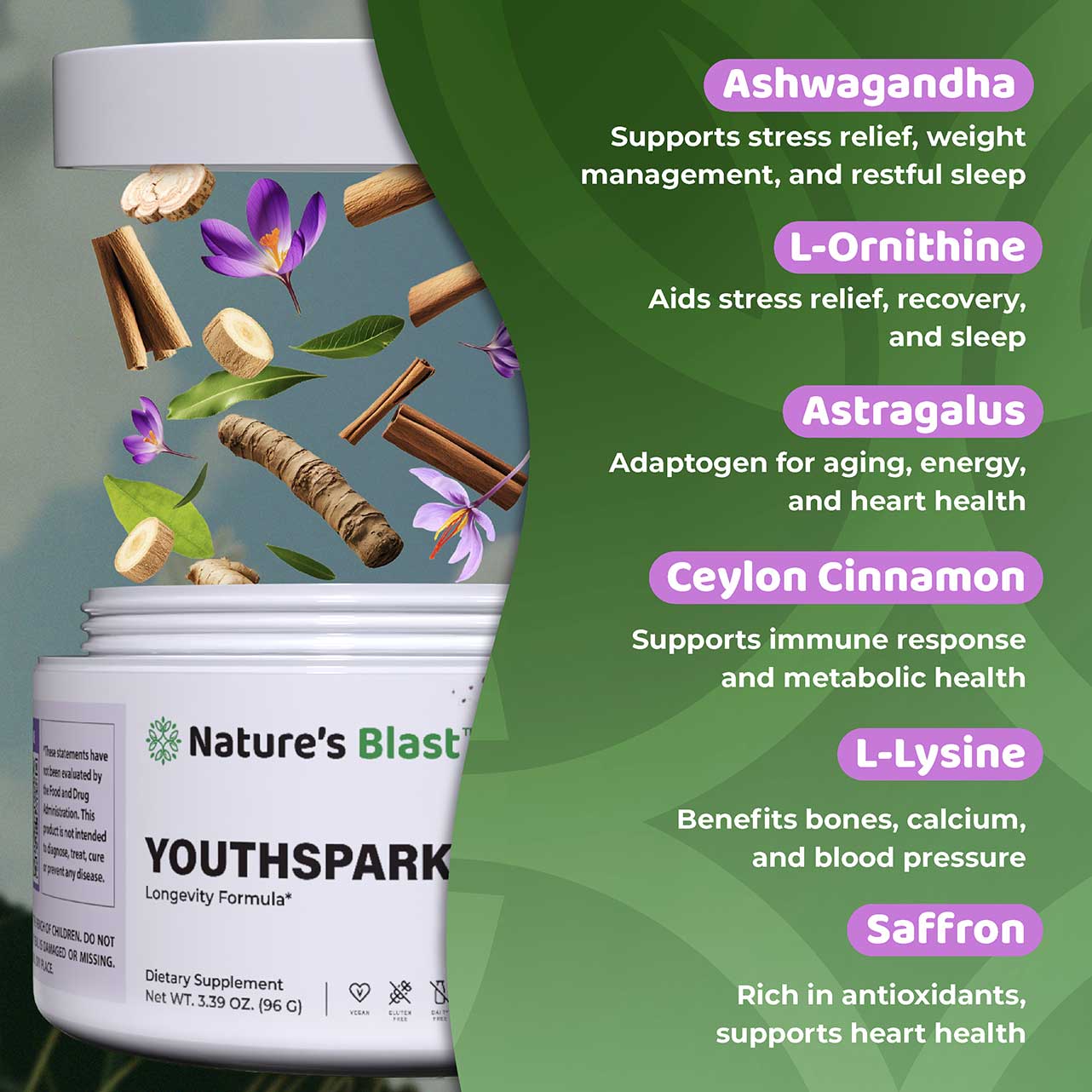 YouthSpark